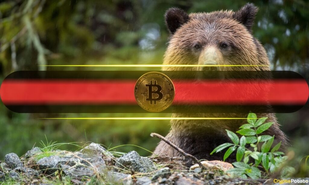 Kriptoda Korkutan Tahmin: Bitcoin Ayı Piyasası 2027’ye Kadar Sürebilir