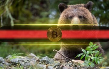 Kriptoda Korkutan Tahmin: Bitcoin Ayı Piyasası 2027’ye Kadar Sürebilir