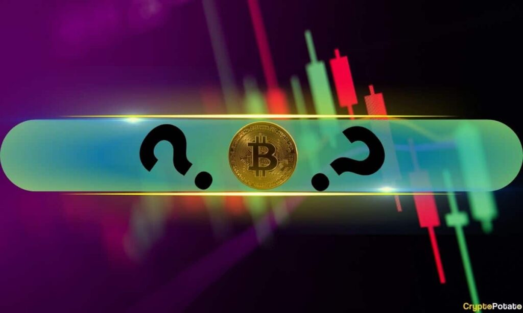 Michael van de Poppe’den Bitcoin ve Altcoinler İçin Önemli Analiz