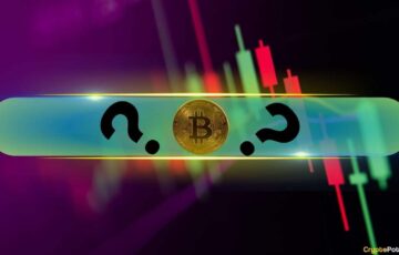 Michael van de Poppe’den Bitcoin ve Altcoinler İçin Önemli Analiz
