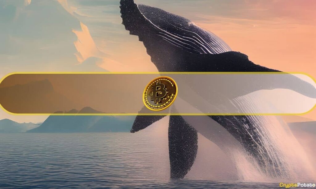 Satoshi Döneminden Kalma Bitcoin Balinası Harekete Geçti: 203 Milyon Dolarlık Satış