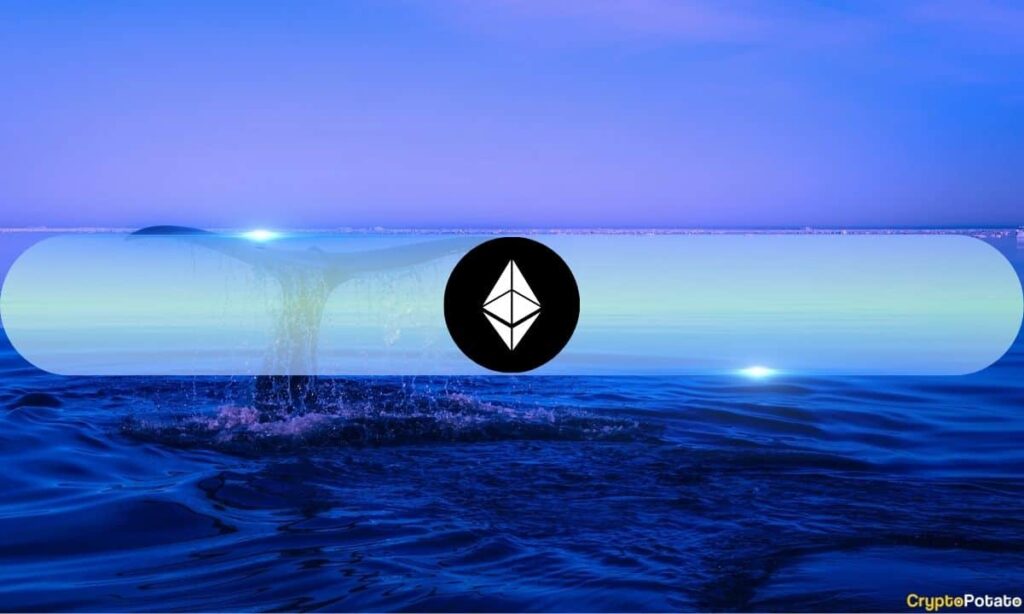 Ethereum Ağında Şüpheli Hareketlilik: Uzun Süredir Pasif Cüzdanlar Boşaltılıyor