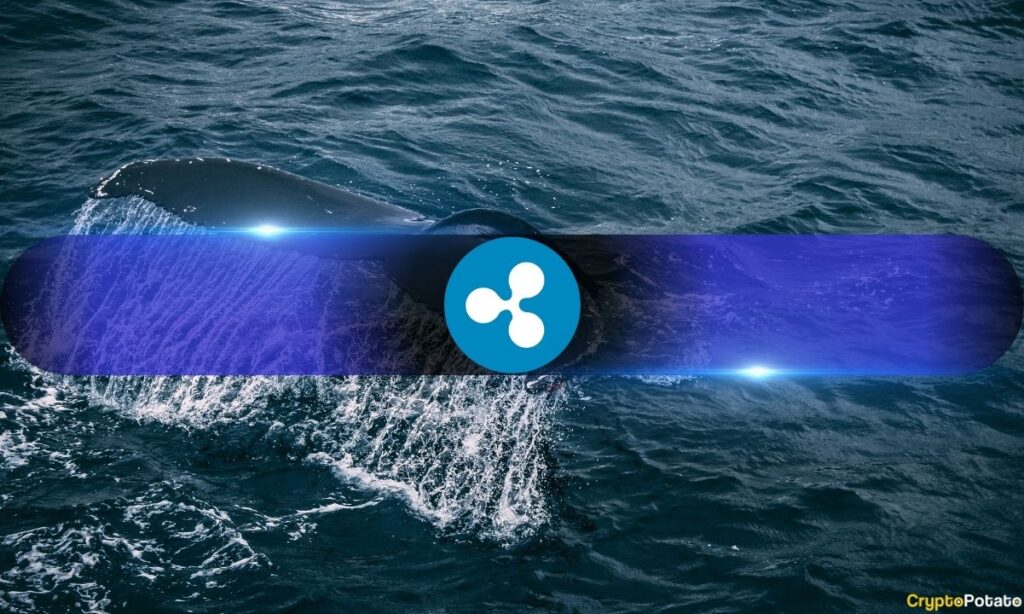 Gizemli Cüzdanlar Arasındaki Milyon Dolarlık XRP Transferi Piyasayı Hareketlendirdi