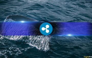 Gizemli Cüzdanlar Arasındaki Milyon Dolarlık XRP Transferi Piyasayı Hareketlendirdi