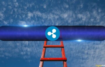 XRP’de Büyük Yatırımcı Birikimleri Zirveye Ulaştı