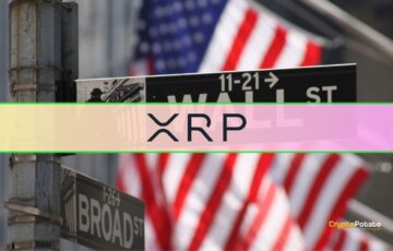 XRP ETF’leri Nisan’da Rekor Kırdı
