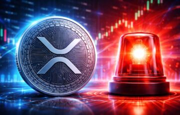 XRP Yatırımcılarına Uyarı: David Schwartz’tan Dolandırıcılık İhtimali Hakkında Ciddi İkaz