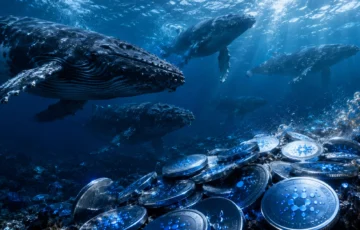 Cardano Balinaları ADA Topluyor: 2017’den Bu Yana En Güçlü Seviye