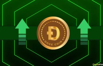 Dogecoin İçin DeFi Hamlesi: DogeOS Yeni Ekosistem Kuruyor