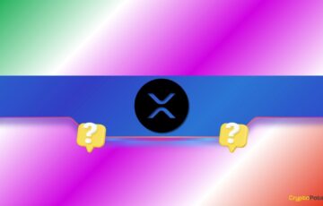 Rekor Nakit Girişlerine Rağmen XRP Fiyatı Neden Yükselmiyor?