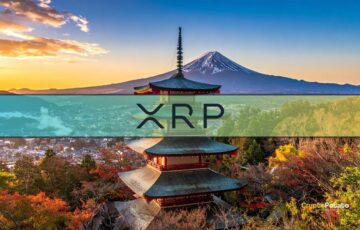 XRP’de Sosyal İlgi 2 Yılın Zirvesine Ulaştı: Rakuten Entegrasyonu Umutları Artırıyor