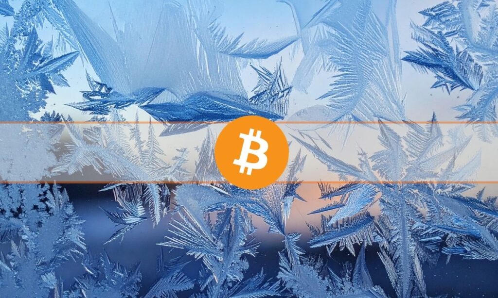 Satoshi’nin Bitcoin’lerine Dokunulmamalı: Kripto Topluluğunda Ortak Görüş