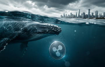 XRP’de Balina Hareketleri ve Piyasa Dinamikleri