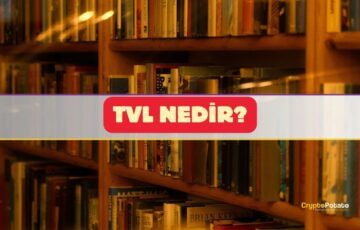Toplam Kilitli Varlık (TVL) Nedir? Kripto İçin Ne Anlama Geliyor?