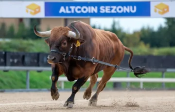 Beklenen Altcoin Sezonunda Son Durum Ne? Gelecek Mi, Gelirse Nasıl Olacak? Analistler Beklentilerini Açıkladı!