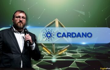 Cardano Kurucusundan Yatırımcıyı Korkutan İtiraf: Hepsini Kurtaramam