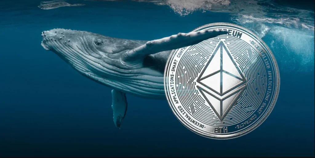 Ethereum Balinası Alımlarını Sürdürüyor, ETH’nin Yanında Bu Coinden de Yüklü Alım Yaptı! İşte Detaylar