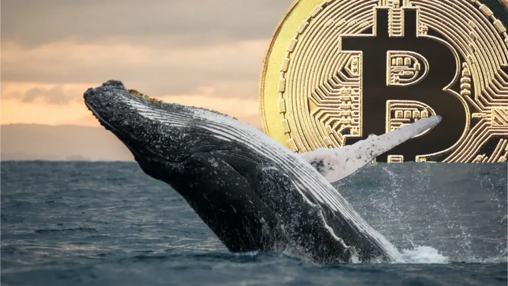 Bitcoin Balinası Yedi Yıldır Sessizliğin Ardından Yüzlerce Bitcoin’i Yeni Bir Adrese Transfer Etti!