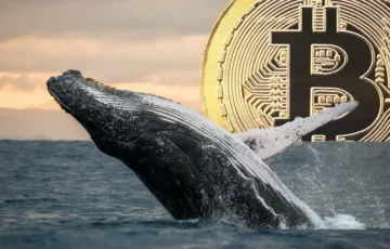 Bitcoin Balinası Yedi Yıldır Sessizliğin Ardından Yüzlerce Bitcoin’i Yeni Bir Adrese Transfer Etti!