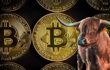 Piyasanın En Tanınan Uzmanlarından Matt Hougan, Bitcoin İçin Boğa Piyasasının Ne Zaman Geri Gelebileceğini Değerlendirdi