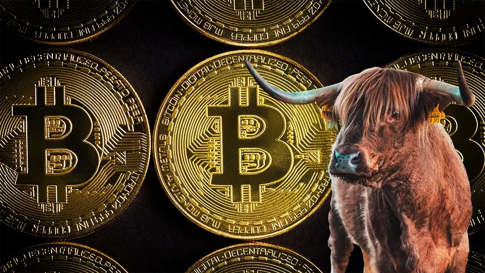 Piyasanın En Tanınan Uzmanlarından Matt Hougan, Bitcoin İçin Boğa Piyasasının Ne Zaman Geri Gelebileceğini Değerlendirdi
