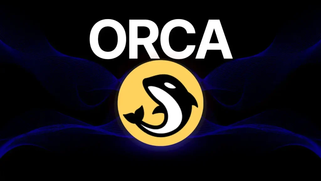 ORCA Nedir ve Nasıl Çalışır?
