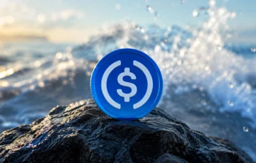 Circle CEO’sundan OUSD Yanıtı: USDC’nin Gücü Nereden Geliyor?