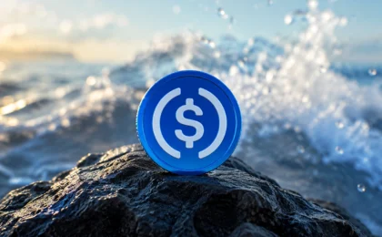 Circle CEO’sundan OUSD Yanıtı: USDC’nin Gücü Nereden Geliyor?