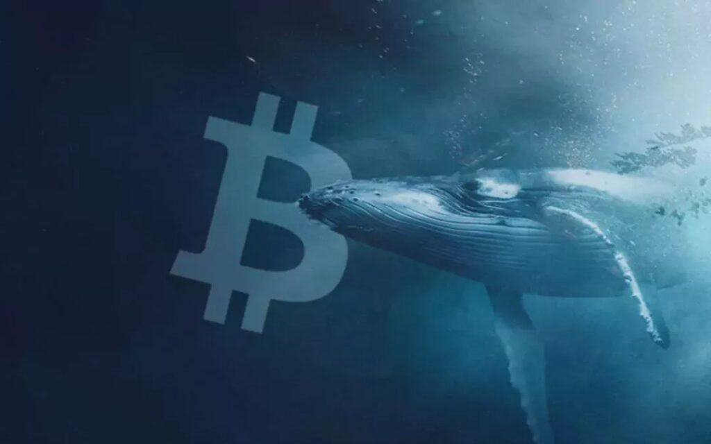 10 yıldır dokunulmayan Bitcoin’ler hareketlenmeye başladı