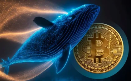Bitcoin Balinaları BTC Toplamaya Devam Ediyor, 1,2 Milyar Dolar Değerinde BTC Satın Aldılar! İşte Detaylar