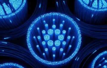 Tim Draper, Cardano girişimleri için yeni hızlandırma programını destekledi
