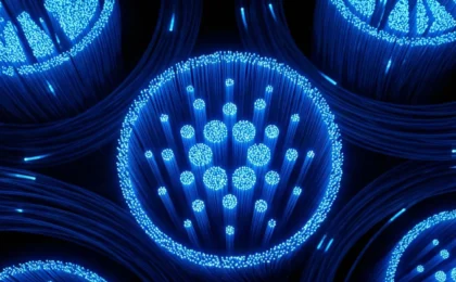 Tim Draper, Cardano girişimleri için yeni hızlandırma programını destekledi