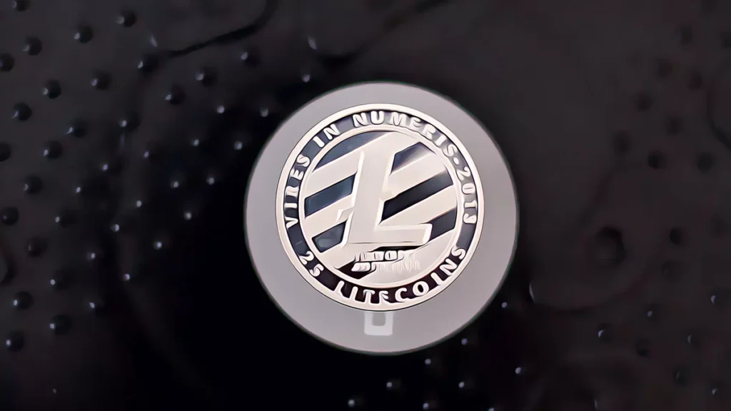 Litecoin 47,63 dolar desteğini korursa 54 dolar seviyesi izlenecek
