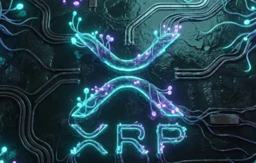 XRP Ledger’da büyük transferler 0 arttı