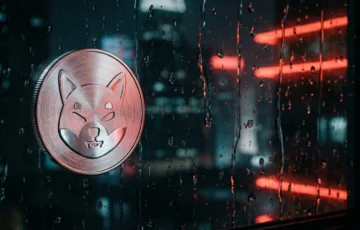 Shiba Inu topluluğu sahte token göçü iddialarına karşı uyardı