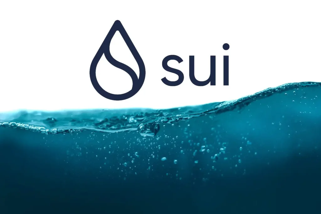 Blockchain Ağı Sui, Gizlilik Odaklı Yeni Bir Altyapı Özelliği Tanıttı! İşte Detaylar